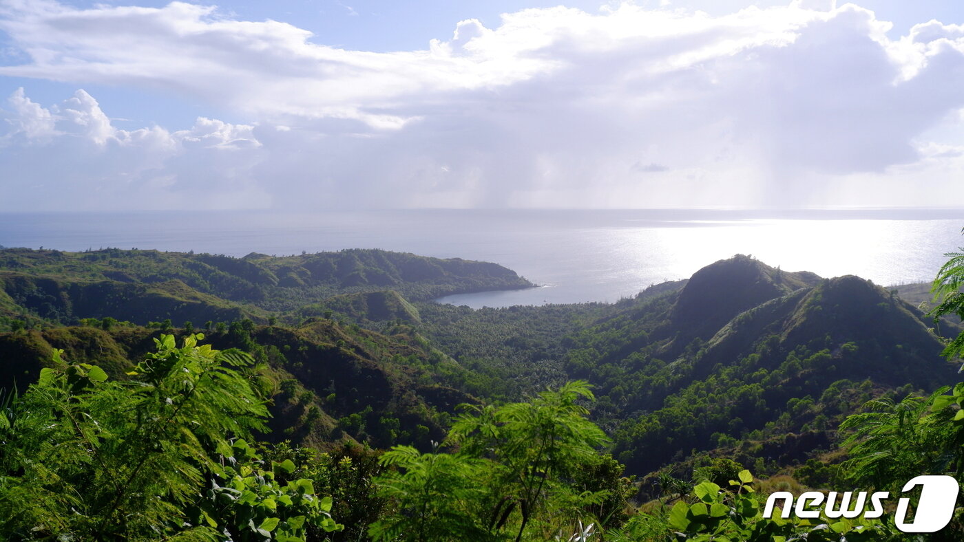 본문 이미지 - 전망대에 오르는 계단에서 바라본 풍경. 전망대엔 나무가 무성해 전망을 가리고 있다 ⓒ 뉴스1 윤슬빈 기자