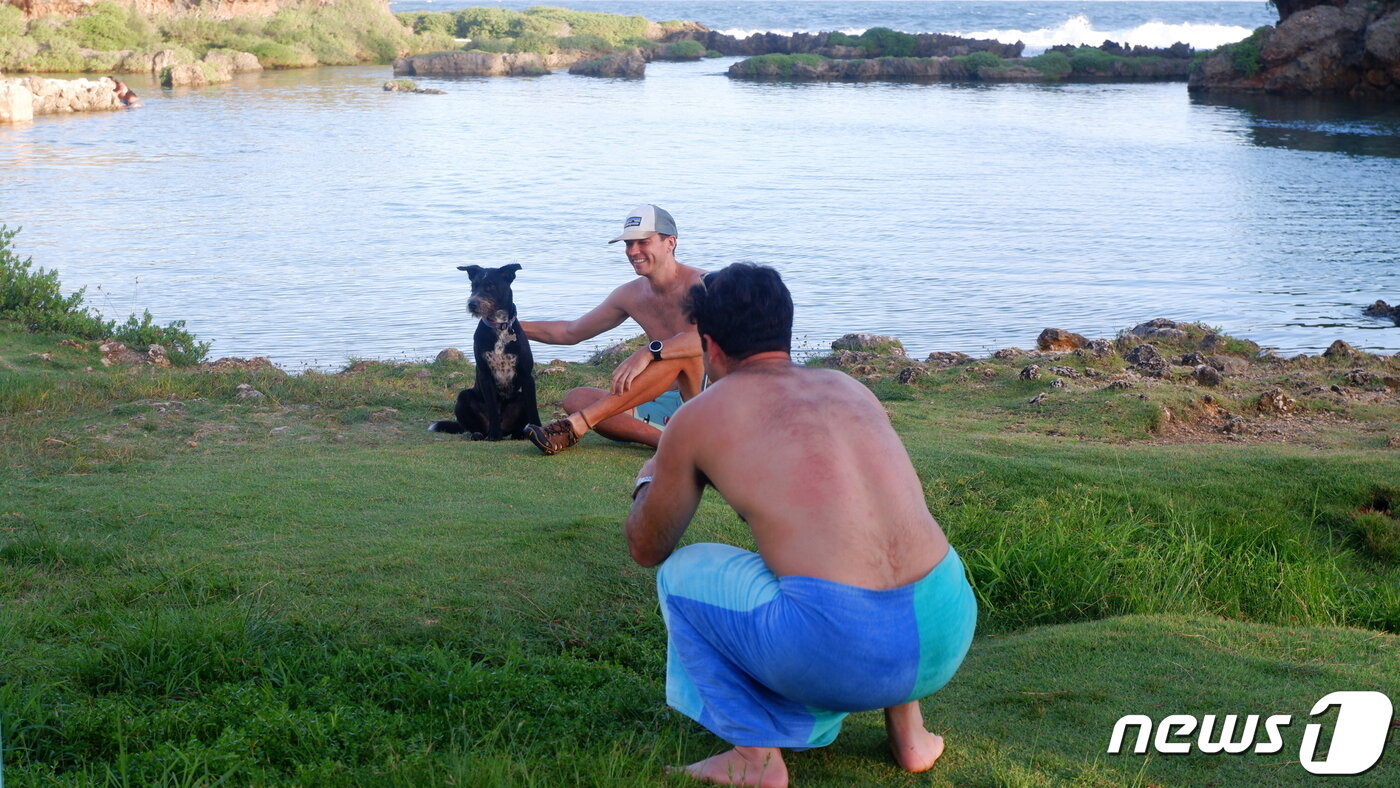 본문 이미지 - 반려견과 함께 휴가를 즐기고 있는 외국인 관광객들 ⓒ 뉴스1 윤슬빈 기자