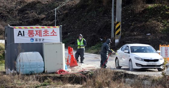 음성 육용오리 농장서 고병원성 조류인플루엔자 의심축 발생