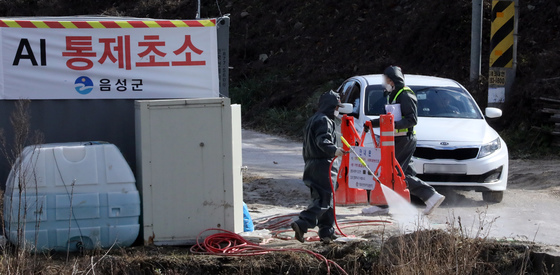 영동 종오리 농장 고병원성 AI 확진…충북 올겨울 첫 발생