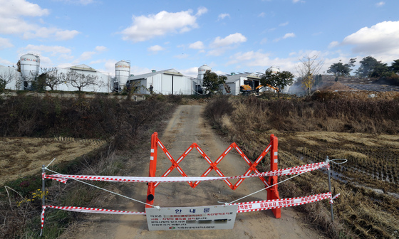괴산 산란계 농장서 AI 항원 검출…고병원성 여부 검사