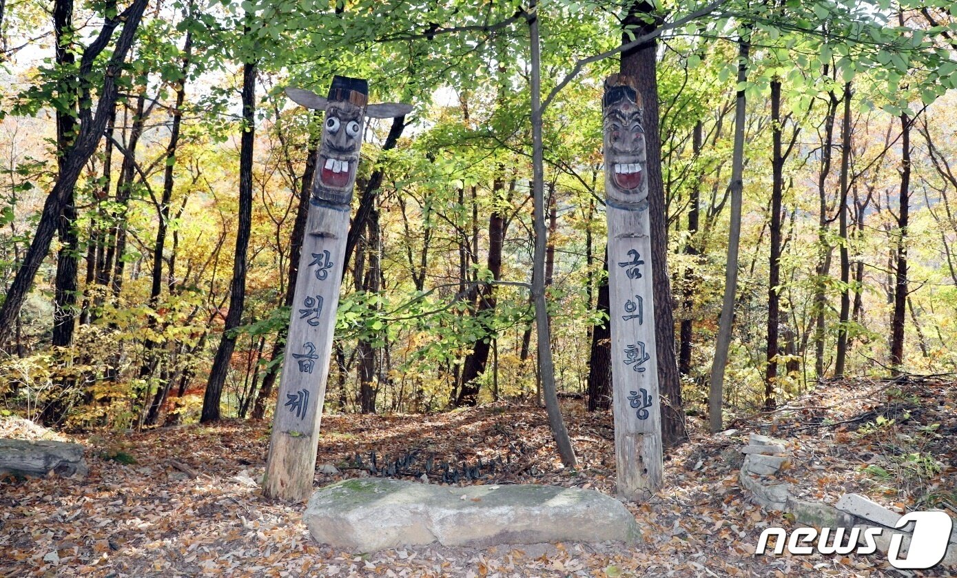 본문 이미지 - 괴산군과 경북 문경시 경계를 이루는 연풍새재 '과거길'에도 수험생과 학부모의 발길이 이어지고 있다.ⓒ 뉴스1