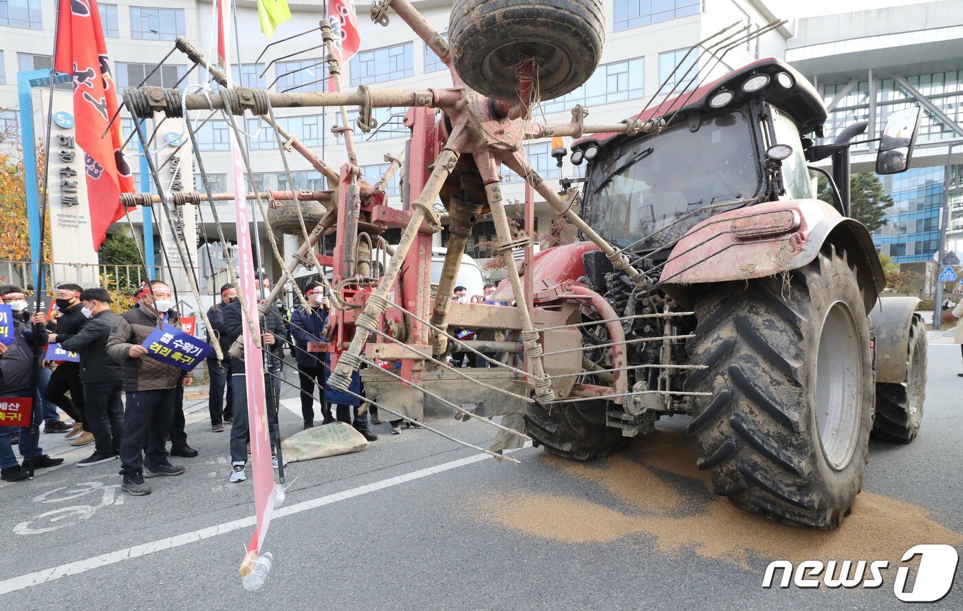본문 이미지 - 한국농업경영인중앙연합회 회원들이 15일 정부세종청사 농림축산식품부 앞에서 '농민 생존권 사수 한농연 총궐기 대회'를 갖고 올해 수확한 쌀을 트렉터로 밟는 상징의식을 갖고 있다. 한농연은 'CPTTP(포괄적·점진적 환태평양경제동반자협정)가입 철회, 2022년 농식품 핵심 예산 증액, 산지 쌀값 안정 초과 물량 격리'를 촉구했다. 2021.11.15/뉴스1 ⓒ News1 장수영 기자