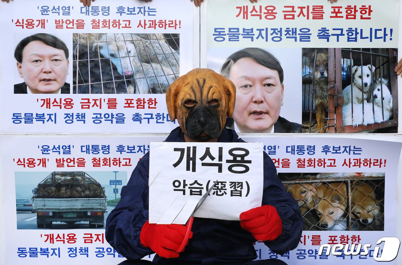 본문 이미지 - 한국동물보호연합 관계자들이 16일 서울 종로구 광화문 네거리에서 기자회견을 갖고 지난달 31일 제10차 국민의힘 대선 경선 합동토론회에서 '식용개는 따로 있다'는 윤석열 후보의 발언을 규탄하며 '개식용 금지'를 포함한 동물복지 정책공약을 촉구하는 퍼포먼스를 펼치고 있다. 2021.11.16/뉴스1 ⓒ News1 임세영 기자