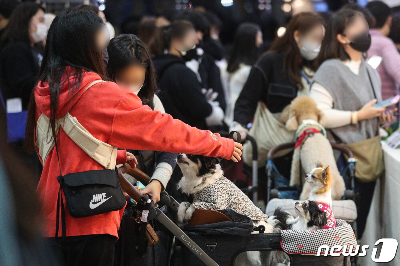 본문 이미지 - 19일 경기도 일산 킨텍스 제2전시장에서 열린 2021 케이펫페어에서 관람객들이 물품들을 살펴보고 있다. 2021.11.19/뉴스1 ⓒ News1 성동훈 기자