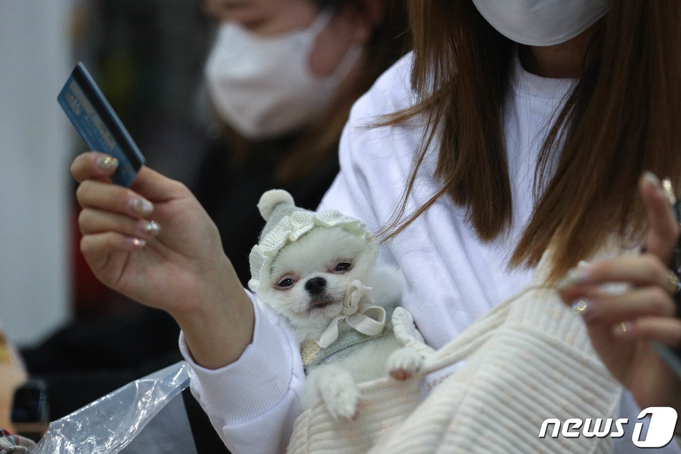 본문 이미지 - 19일 경기도 일산 킨텍스 제2전시장에서 열린 2021 케이펫페어에서 관람객들이 물품들을 살펴보고 있다. 2021.11.19/뉴스1 ⓒ News1 성동훈 기자
