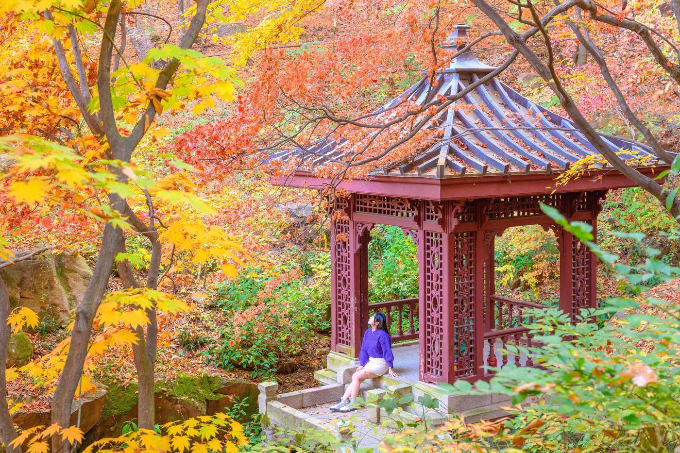 본문 이미지 - 석파정 유수성중관풍루라는 별칭처럼 주변으로 짙은 단풍이 가득하다