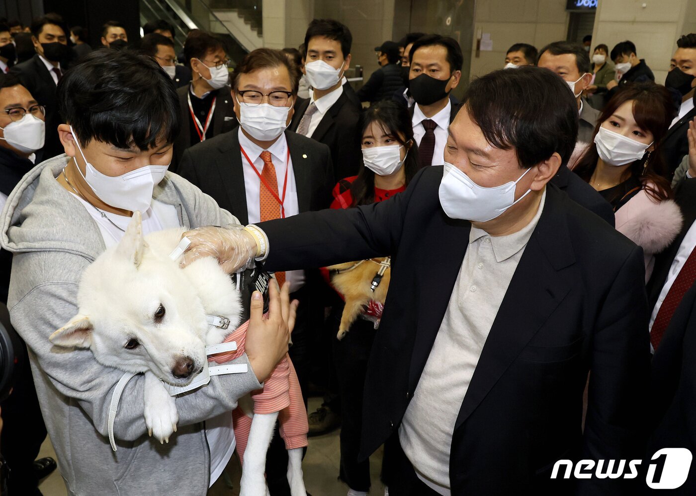 본문 이미지 - 윤석열 국민의힘 대선 후보가 19일 오후 경기도 일산 서구 킨텍스 제2전시장에서 열린 '2021 케이-펫페어(K-PET FAIR)일산' 행사장을 찾아 애견인과 이야기를 나누고 있다. 2021.11.19/뉴스1 ⓒ News1 국회사진취재단
