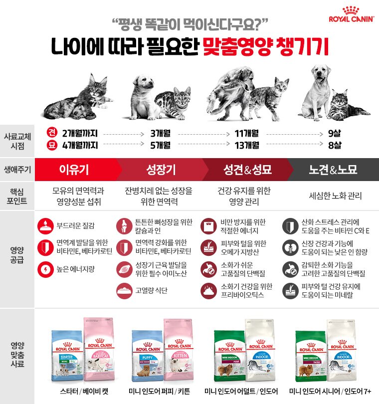 본문 이미지 - 반려동물 생애주기별 맞춤영양 가이드(로얄캐닌 제공) ⓒ 뉴스1