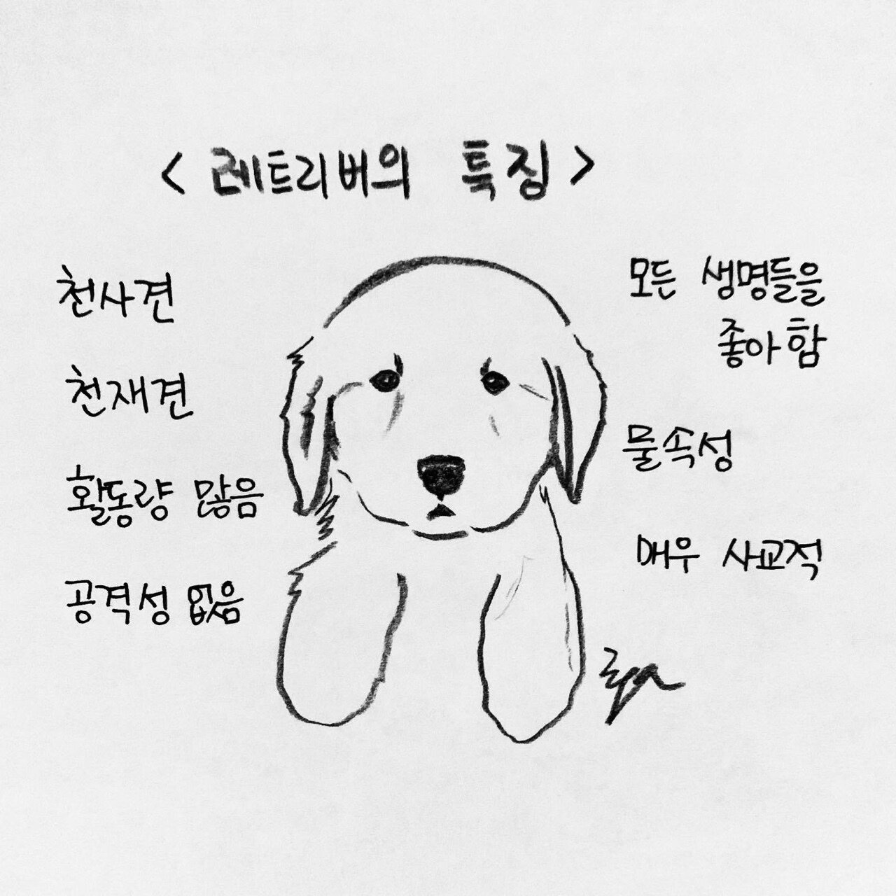 본문 이미지 - 한인가의 수의사 이야기 ⓒ 뉴스1