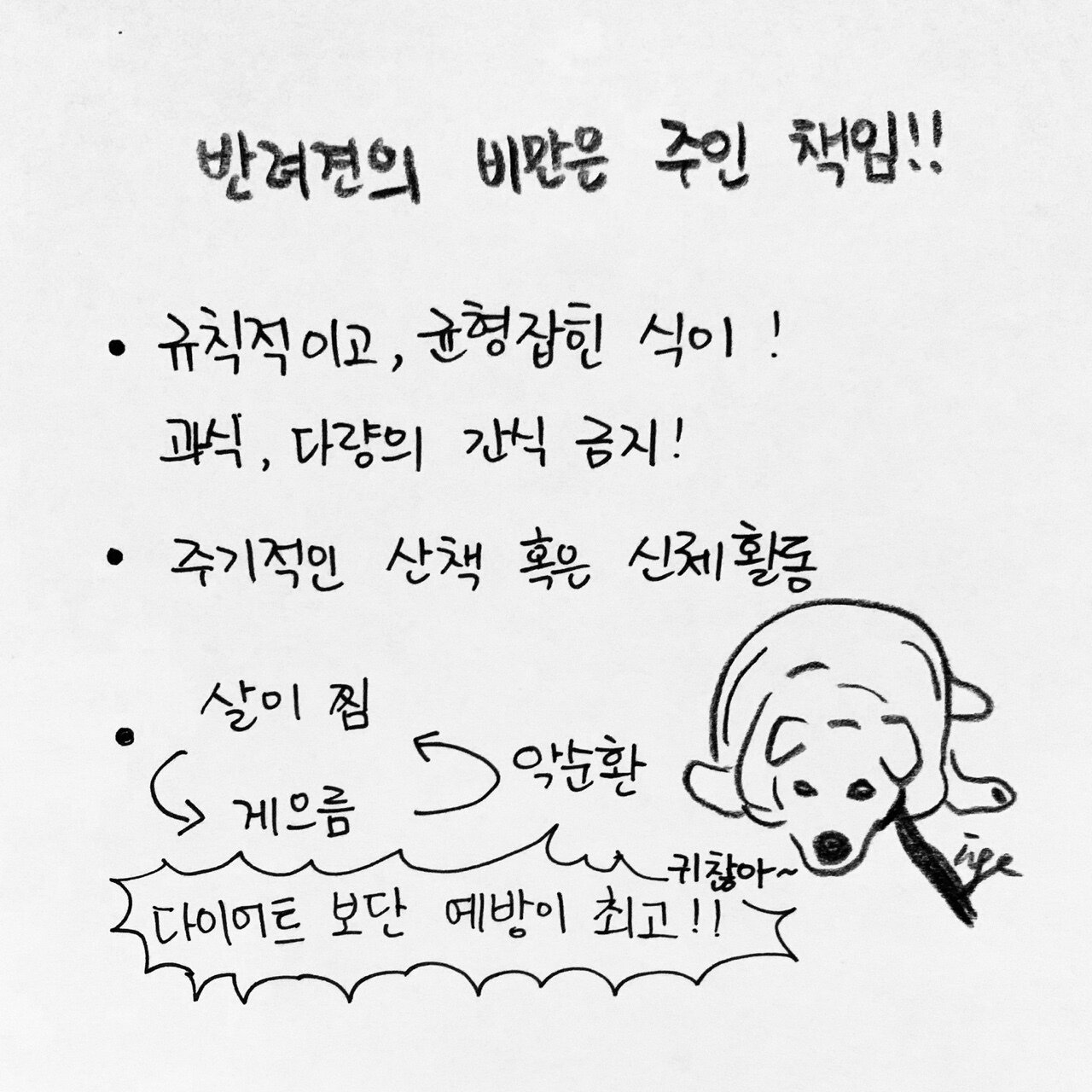 본문 이미지 - 한인가의 수의사 이야기 ⓒ 뉴스1