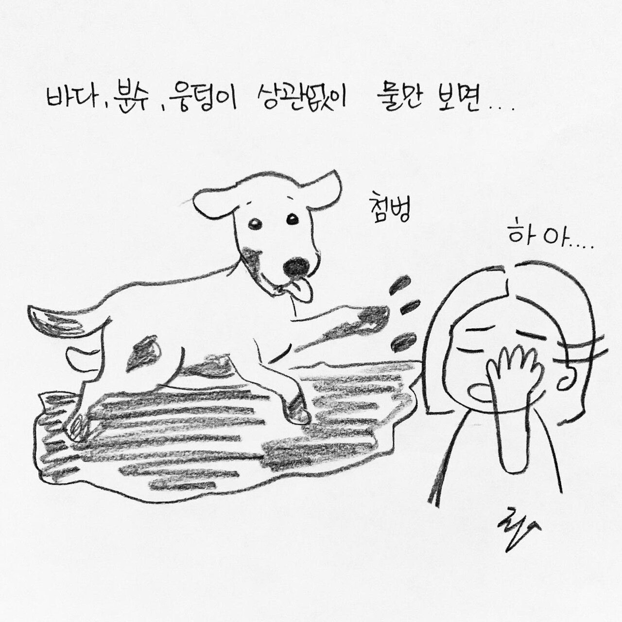 본문 이미지 - 한인가의 수의사 이야기 ⓒ 뉴스1