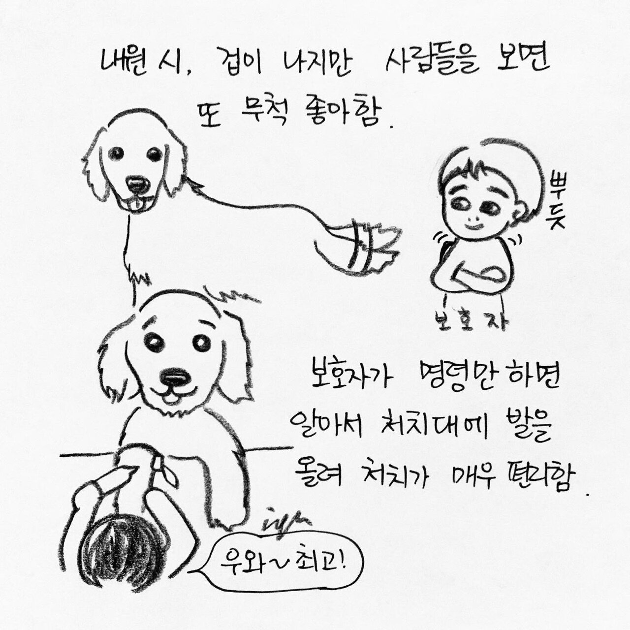 본문 이미지 - 한인가의 수의사 이야기 ⓒ 뉴스1