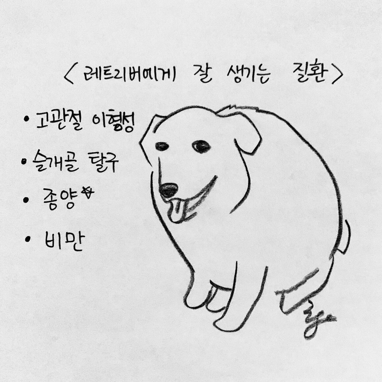 본문 이미지 - 한인가의 수의사 이야기 ⓒ 뉴스1