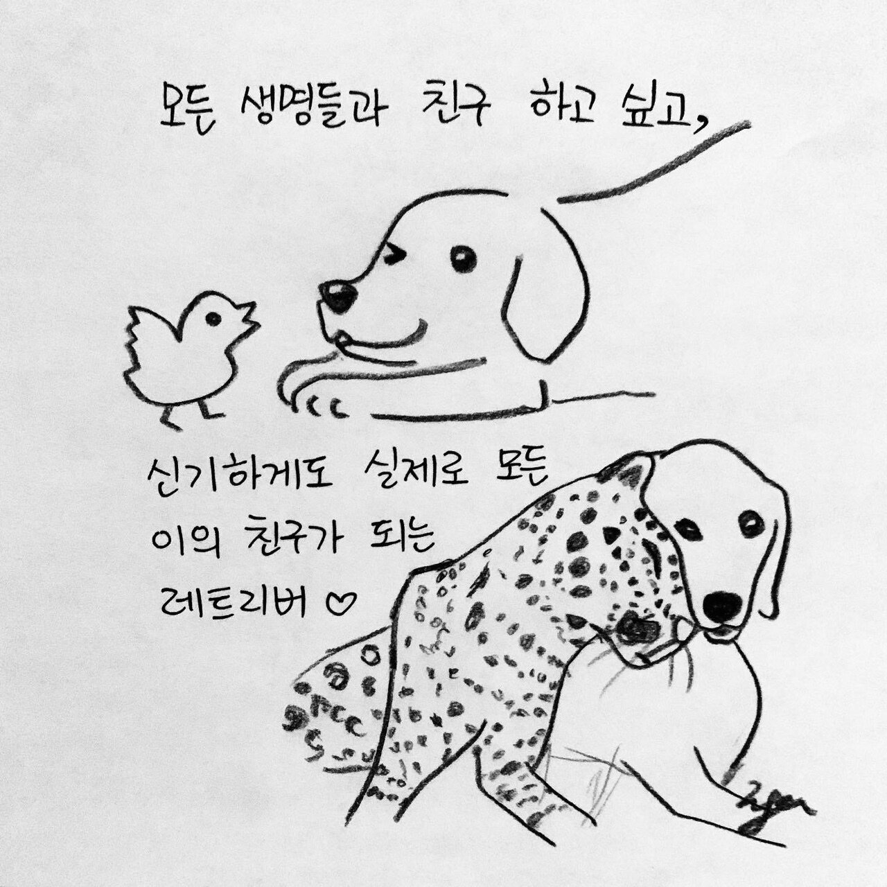 본문 이미지 - 한인가의 수의사 이야기 ⓒ 뉴스1