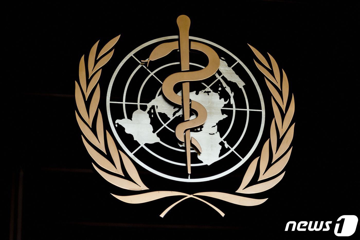 본문 이미지 - 세계보건기구(WHO) 로고 ⓒ AFP=뉴스1