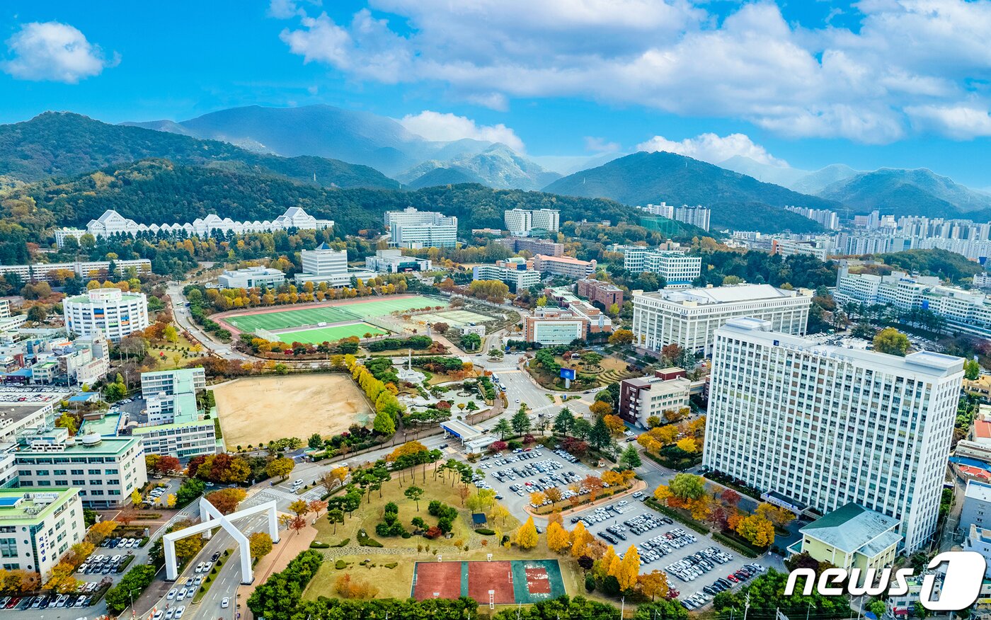 본문 이미지 - 조선대학교 전경.(조선대 제공)/뉴스1 ⓒ News1