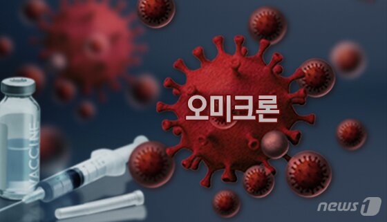 본문 이미지 - ⓒ News1 윤주희 디자이너