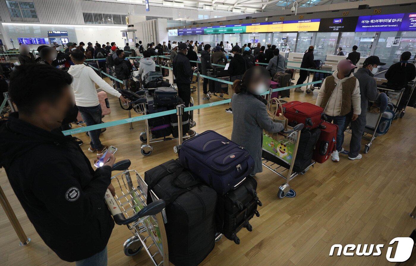 본문 이미지 - 5일 오전 인천국제공항 1터미널이 공항 이용객들로 활기를 되찾고 있다. 위드 코로나에 기대감이 커지면서 지난달 인천국제공항을 이용한 국제선 여객수가 2개월 만에 다시 30만명을 돌파했다. 4일 항공업계에 따르면 지난달 인천국제공항 국제선 여객수는 전달(28만4626명)보다 2만1263명 늘어난 30만5889명으로 집계됐다. 위드 코로나에 대한 기대감과 트래블 버블(여행안전권역) 등 정책 기대감이 작용한데 따른 것으로 분석됐다. 2021.11.5/뉴스1 ⓒ News1 성동훈 기자