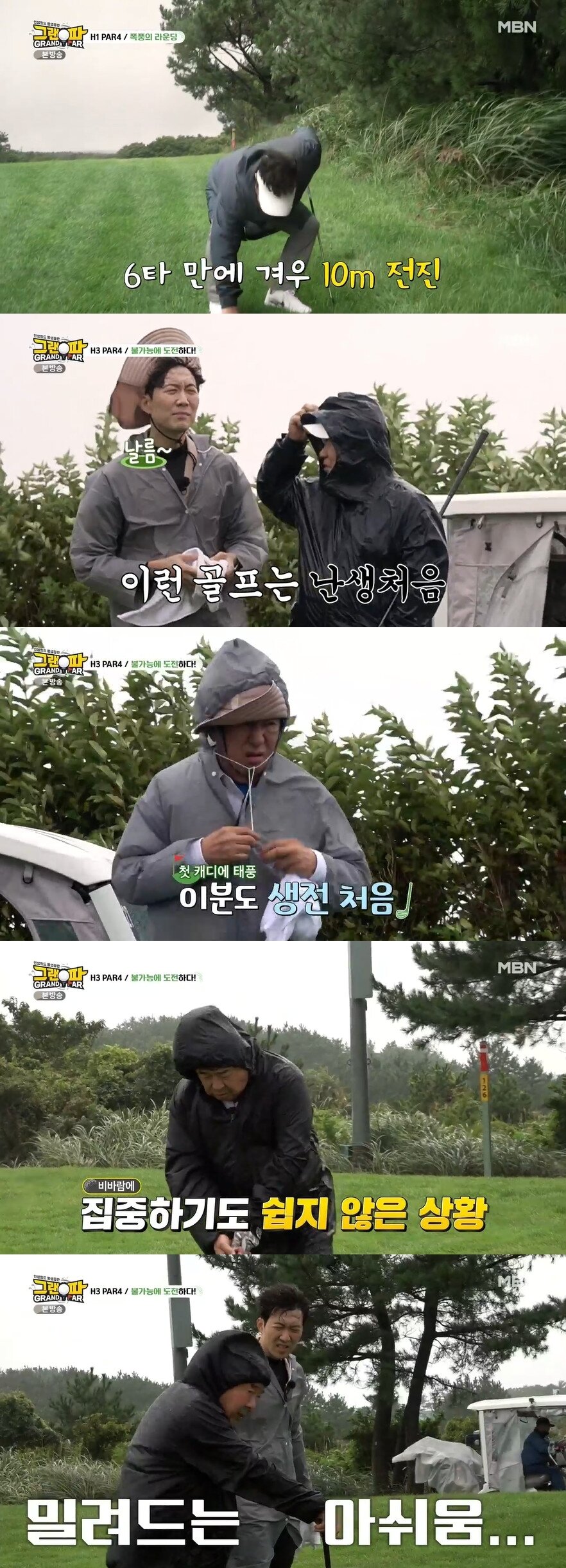 본문 이미지 - MBN ⓒ 뉴스1