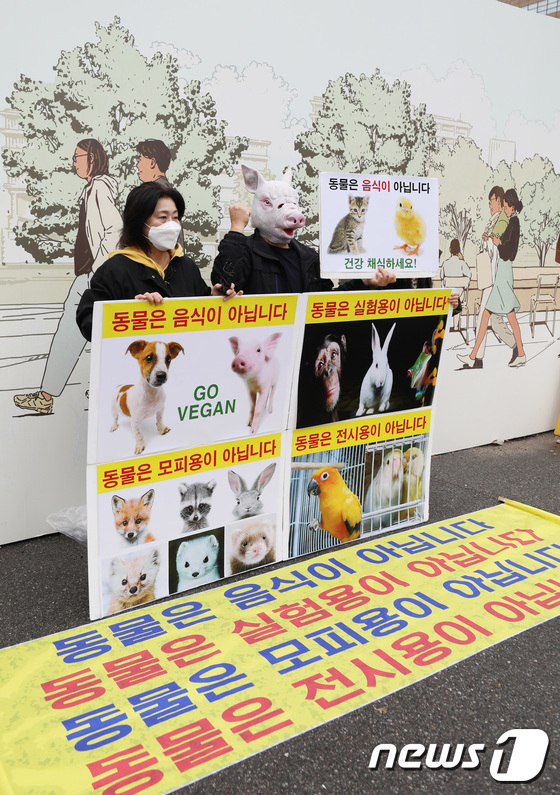 동물권리 촉구하는 한국동물보호연합