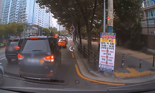 본문 이미지 - (유튜브 갈무리) ⓒ 뉴스1