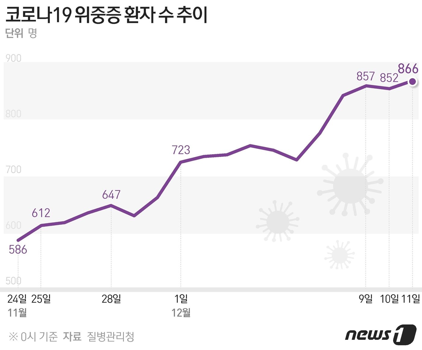 본문 이미지 - ⓒ News1 이지원 디자이너