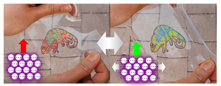 본문 이미지 - 신축에 따라 변색하는 카멜레온 패턴(KAIST 제공)ⓒ 뉴스1