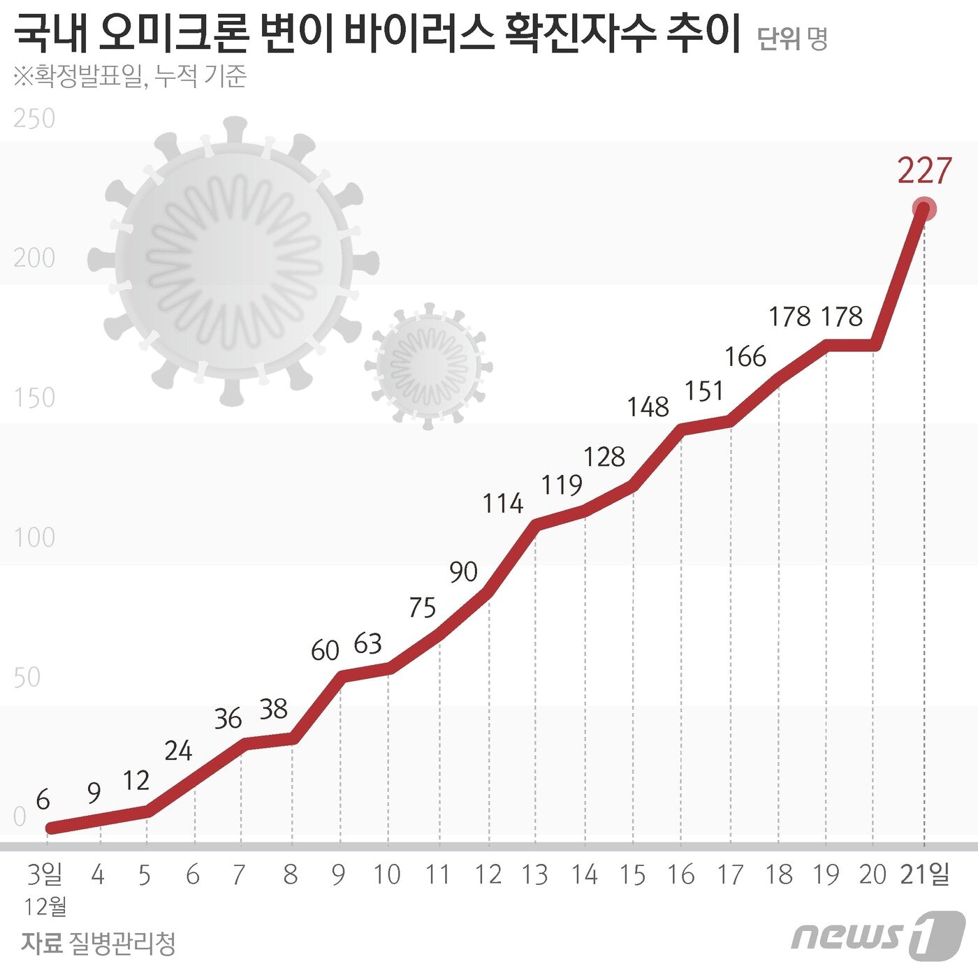본문 이미지 - ⓒ News1 최수아 디자이너