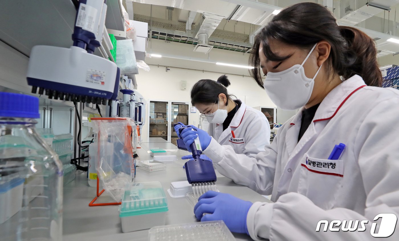 본문 이미지 - (사진은 기사 내용과 무관함) / 뉴스1 ⓒ News1
