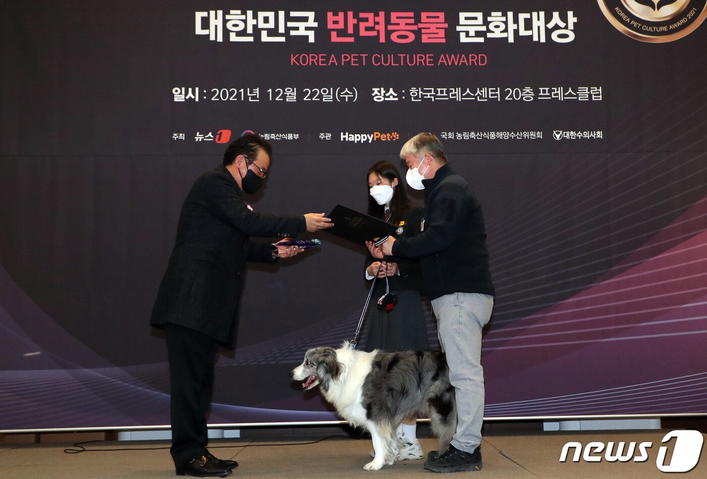 본문 이미지 - 22일 서울 중구 프레스센터에서 민영뉴스통신사 뉴스1과 농림축산식품부가 주최로 열린 '2021 대한민국 반려동물 문화대상' 시상식에서 강호병 뉴스1 전무가 은퇴견 앤디와 가족들에게 공로상을 전달하고 있다. 2021.12.22/뉴스1 ⓒ News1 김명섭 기자