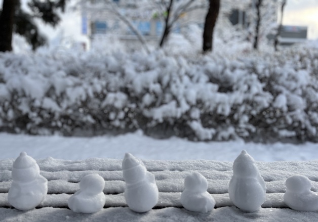[오늘의 날씨] 강원(12일, 금)…산지·동해안 최대 10㎝ 눈