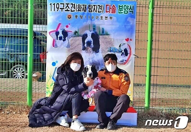 본문 이미지 - 중앙119구조본부에서 화재탐지견으로 활동한 복제견 다솔이 17일 은퇴했다.(다솔 보호자 제공) ⓒ 뉴스1