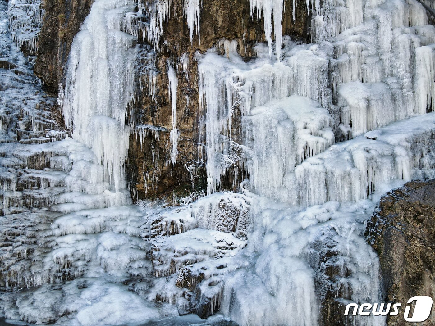 본문 이미지 - (서대문구제공)ⓒ 뉴스1