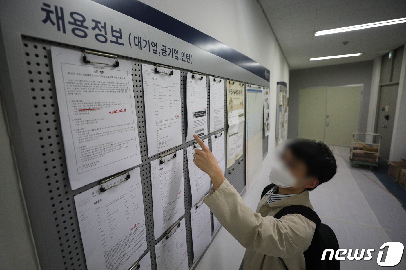 본문 이미지 - 서울의 한 대학교 취업게시판에서 채용정보를 살펴보는 대학생 모습. /뉴스1 DB ⓒ News1 성동훈 기자