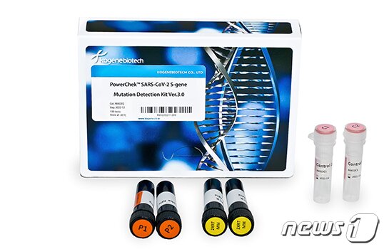 본문 이미지 - 코젠바이오텍 코로나19 진단 시약 '파워체크 SARS-Cov-2S 유전자 변이감별키트 3.0' ⓒ 뉴스1