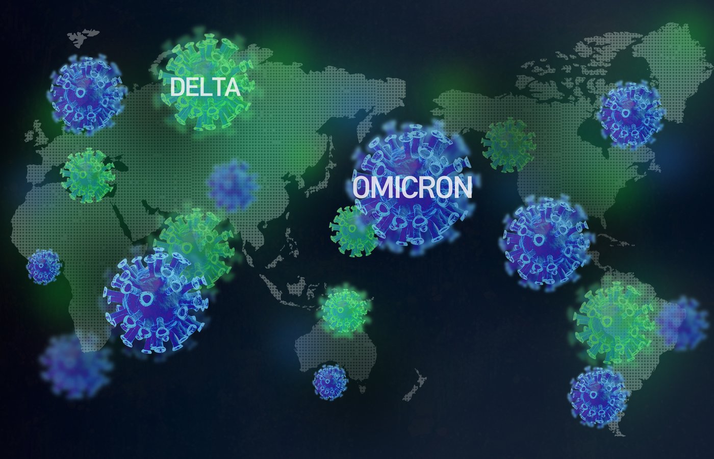 본문 이미지 - ⓒ News1 윤주희 디자이너