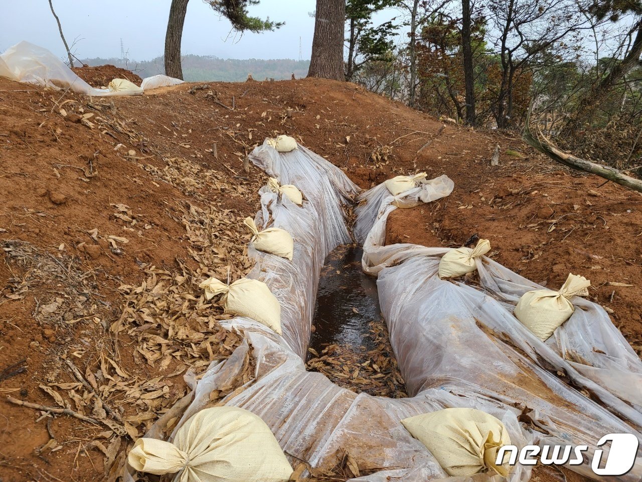 강진-광주 고속도로 건설현장인 나주 봉황면 일대에서 발견된 장고분 추정 유적 모습.&#40;나주시 제공&#41; 2021.12.3/뉴스1 ⓒ News1