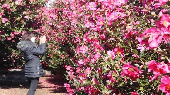 [오늘의 날씨] 제주(8일, 월)…낮 최고 12~15도