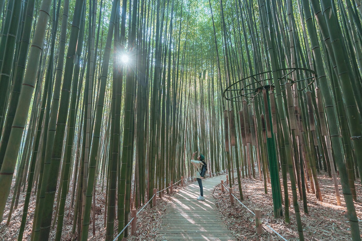 본문 이미지 - 대나무숲이 아름다운 죽림공원. 한국관광공사 제공