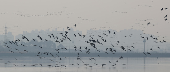 왕송호수 인근에 쓰레기 소각장?…의왕시민 반발에 "전면 재검토"