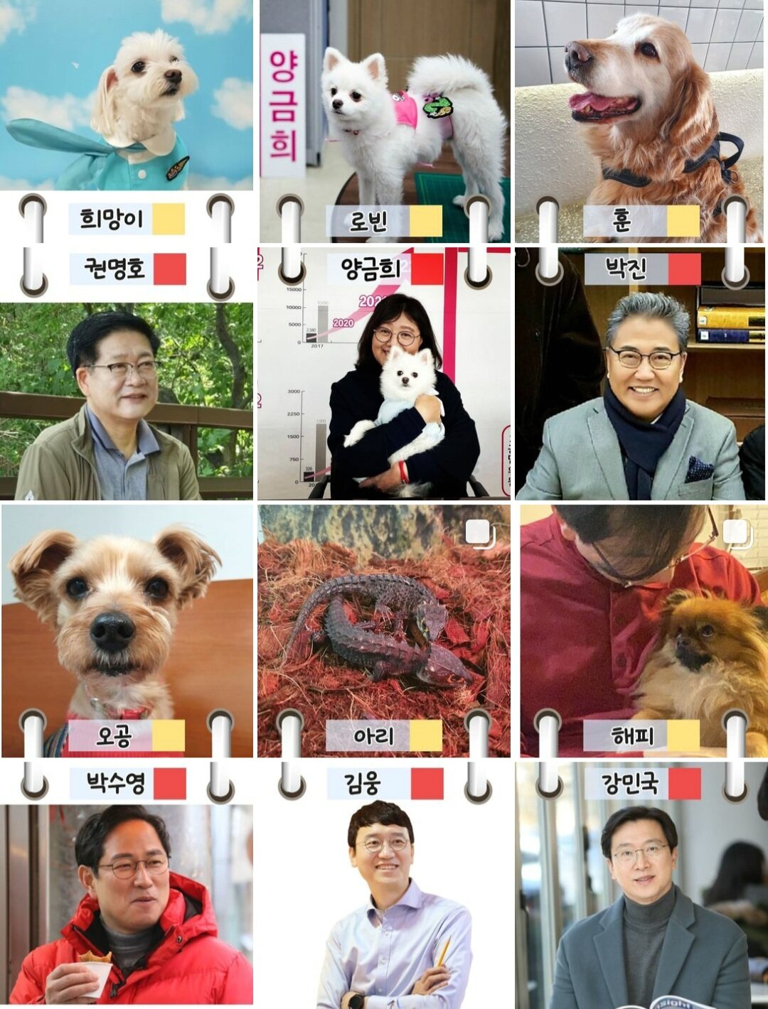 본문 이미지 - 국민의힘 펫밀리 인스타그램(with_petmily) 갈무리 ⓒ 뉴스1