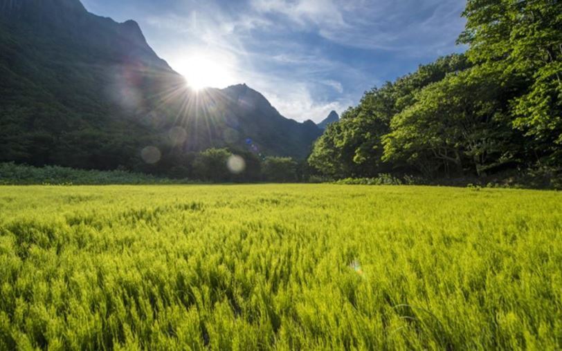 본문 이미지 - 나리분지. 울릉군 제공