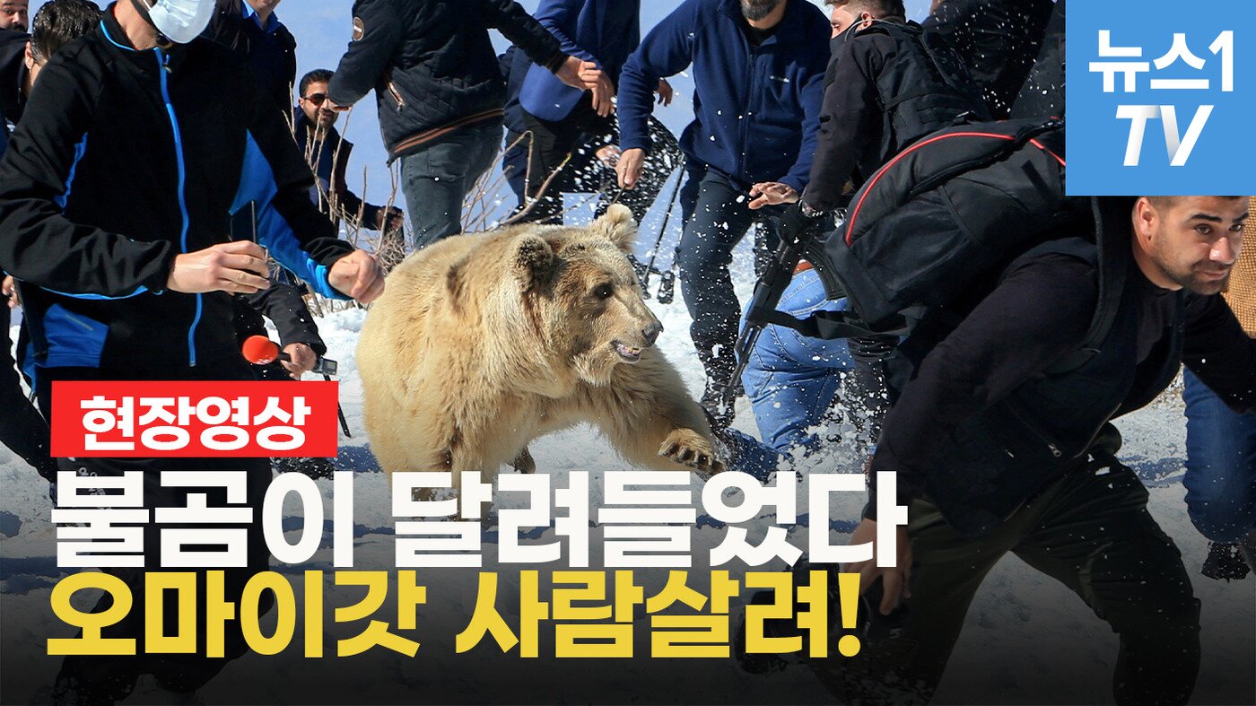 본문 이미지 - ⓒ 뉴스1