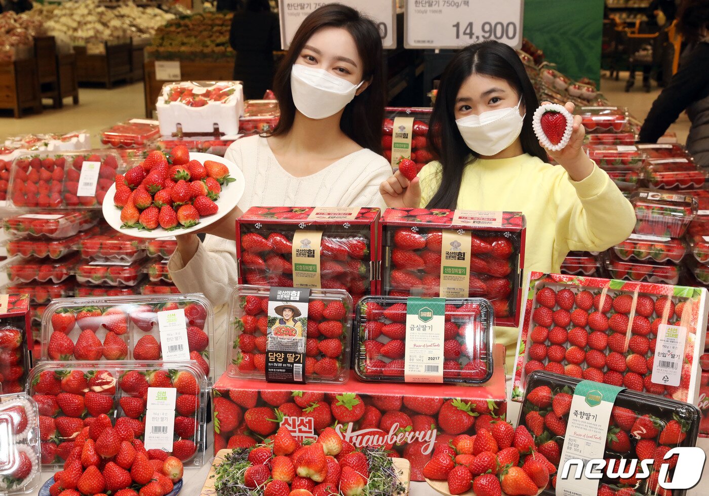 본문 이미지 - 이마트 성수점에서 모델들이 '딸기 챔피언' 행사를 소개하고 있다. (이마트 제공) 2021.2.17/뉴스1