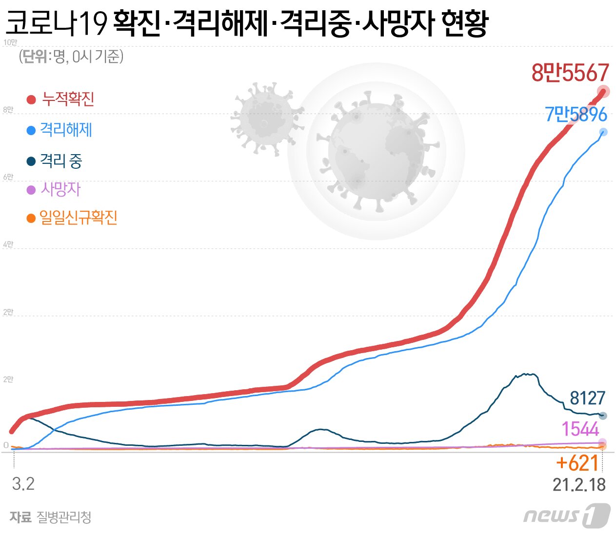 본문 이미지 - ⓒ News1 최수아 디자이너