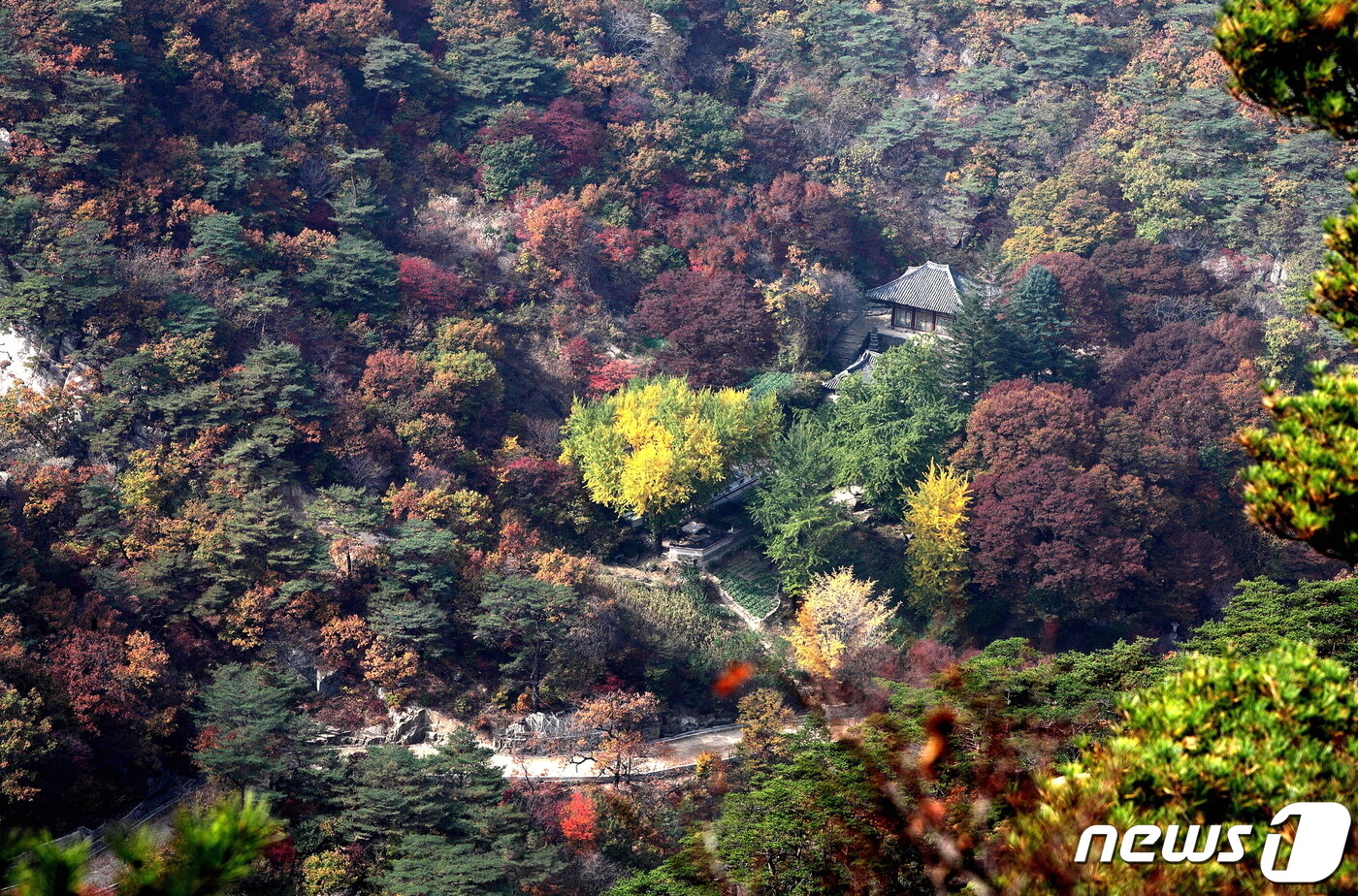 본문 이미지 - 대흥산성 안에 자리 잡고 있는 개성 관음사 전경. (미디어한국학 제공) 2021.02.20.ⓒ 뉴스1