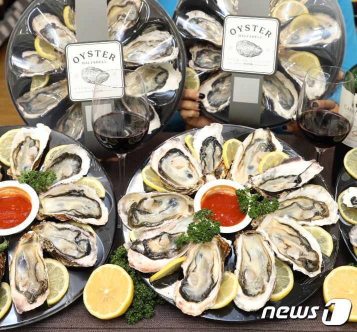 본문 이미지 - ⓒ 뉴스1