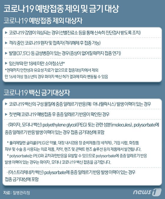 본문 이미지 - ⓒ News1 이은현 디자이너