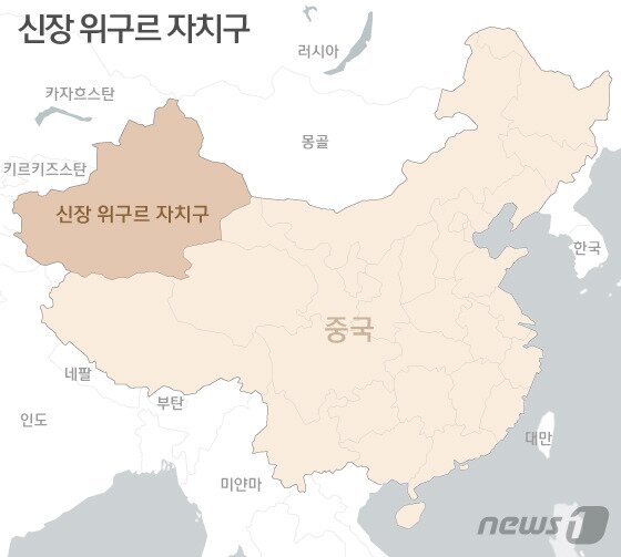 본문 이미지 - ⓒ News1 김일환 디자이너